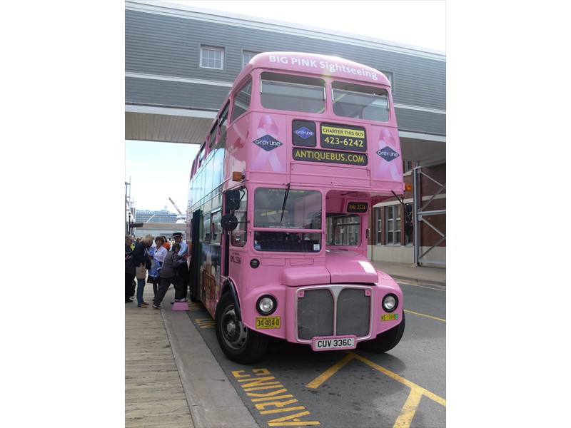 Big Pink sightseeing bus
